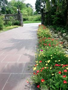 ONA HOME - Entire Hue-styled garden house nearby a pine hill