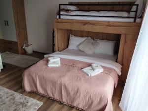 Kopaonik best view apartment