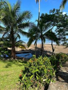 Drake Bay Cabina - ON THE BEACH - La Joyita