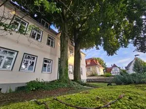 Patrizierhaus St Pauli am Brauhaus Zwiebel (Patrizierhaus Altstadt am Brauhaus Zwiebel)