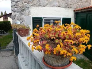 La Casetta di Barzio - Maggio