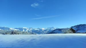 Chalets L'echappee Belle en Montagne - site location-chalet : photos des chambres