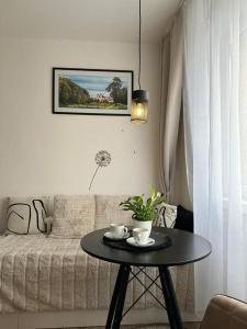 Morava apartmán s balkonem Uherské Hradiště Šafaříkova 855