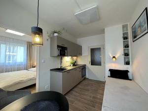 Morava apartmán s balkonem Uherské Hradiště Šafaříkova 855