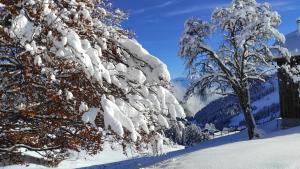 Chalets L'echappee Belle en Montagne - site location-chalet : photos des chambres