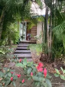 Le Niaouli - 圣若瑟