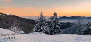 Maisons de vacances Le gite de Vitazensel : photos des chambres