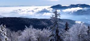 Maisons de vacances Le gite de Vitazensel : photos des chambres