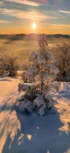 Maisons de vacances Le gite de Vitazensel : photos des chambres