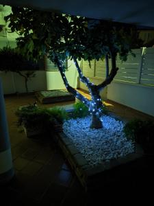 Bidda Mores Appartamenti- I Velieri img41