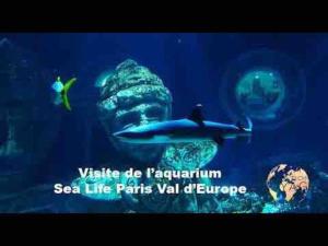 Maisons de vacances Pavillons 6 personnes 15 minutes Disney : photos des chambres