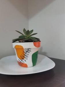 Cómodo monoambiente en Cala Cala