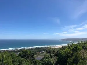 Forest Hill Wilderness - Hoekwil