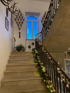B&B / Chambres d'hotes Chateau du Puech : photos des chambres