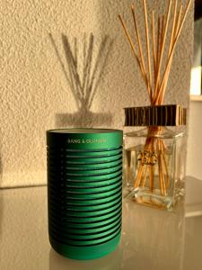 THE ALPINE STUDIO sur les pistes & proche du lac Frience