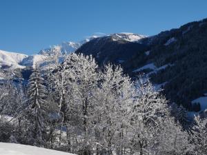 La ferme d'Hauteluce - Chalets : photos des chambres