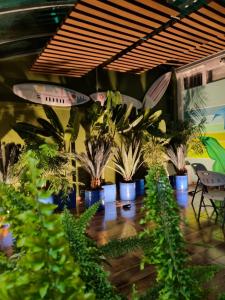 Florentina - 3hvězdičkové hotely ve městě Tunja