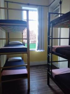 Lapa Casa