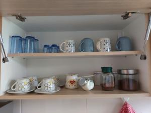 Garden House Novi Sad