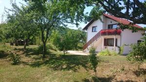 Apartment Manda