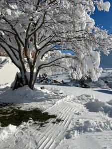 Panorama Appartements