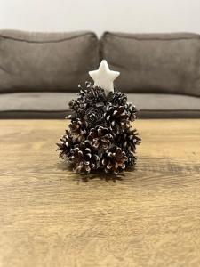 Petkovi Аpartments, Borovets Gardens - One-bedroom and Two-bedroom apartments