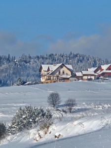 Pokoje WIDOK