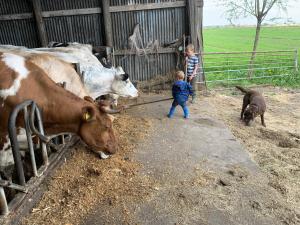 Boerencamping Swarthoeve