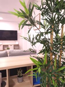 ÓPERA CAMPOAMOR (CENTRO CIUDAD, PLAZA DE GARAJE)