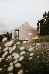 Dzikość Serca - Jurta z widokiem na Tatry - Harklowa