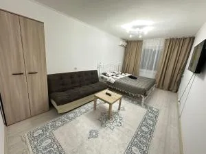 Однокомнатная квартира Шалкыма - Peretaska