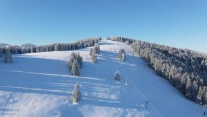 Hotel Malina-Ski Resort-SKI-IN & SKI-OUT