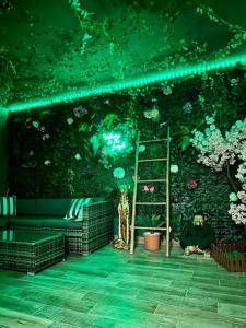 Appartements The Jungle SPA Strasbourg : Appartement 1 Chambre