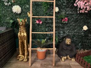 Appartements The Jungle SPA Strasbourg : photos des chambres