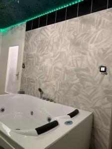 Appartements The Jungle SPA Strasbourg : photos des chambres