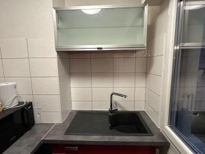 Appartements The Jungle SPA Strasbourg : photos des chambres