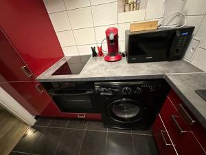 Appartements The Jungle SPA Strasbourg : photos des chambres