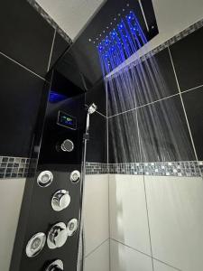 Appartements The Jungle SPA Strasbourg : photos des chambres