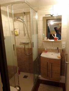 Appartements Studio coeur de station de Praz de Lys 1500m : photos des chambres