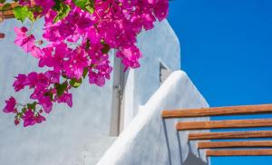 Delmar Apartments & Suites Milos Milos Greece