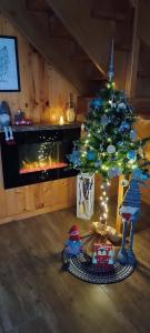 Chaty na Cholewicy Domki Całoroczne