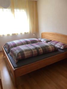 Apartment Edelweiss A-4 by Interhome