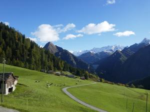 Holiday Home Rustico Orsaira by Interhome