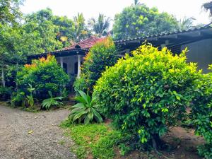 Dickwella Green Villa