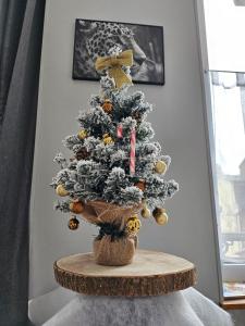 Appartements La panthere rose : photos des chambres