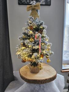 Appartements Les Z'amours : photos des chambres