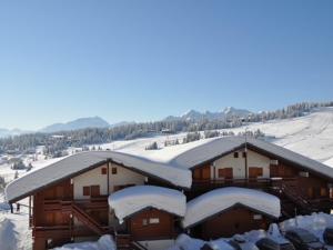 Studio cabine Les Saisies - 4 pers, balcon sud, vue montagne - FR-1-293-117