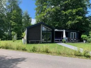 Luxe chalet in Oosterwolde in FRIESLAND, op rustig park met uitzicht op meer en strandje - Fochteloo