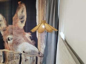 El Cielo de Cebreros