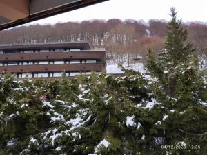 Appartements Proches des pistes F2 36m2 4-6 pers 2 etoiles : photos des chambres